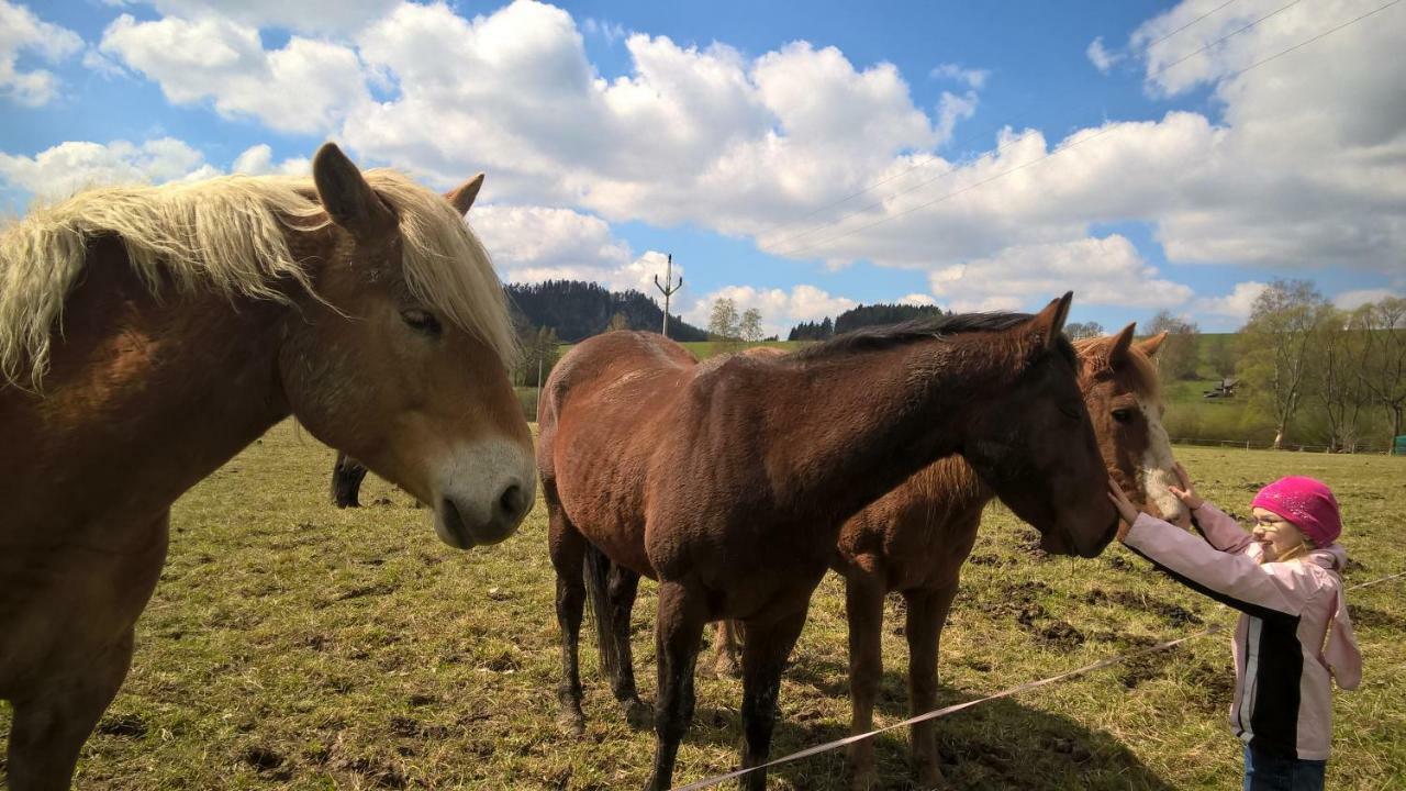 Apartman 33 Teplice nad Metuji Bagian luar foto